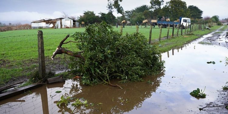 Buscan fortalecer capacidades para gestionar el riesgo agroclimático con curso gratuito