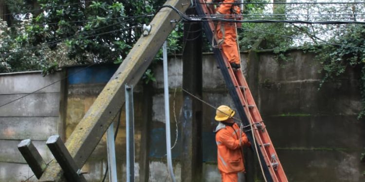 CGE Maule avanza en reposición de servicios sin energía tras fuerte temporal