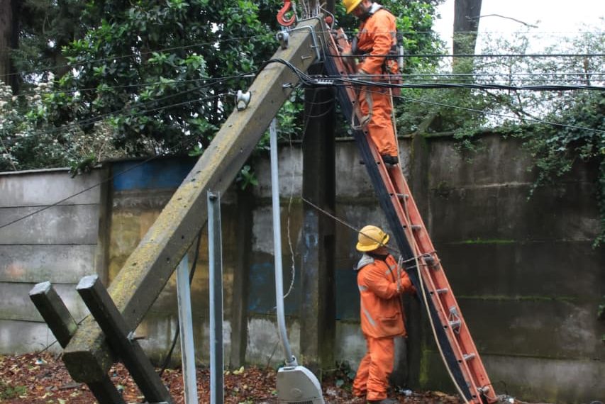 CGE Maule avanza en reposición de servicios sin energía tras fuerte temporal