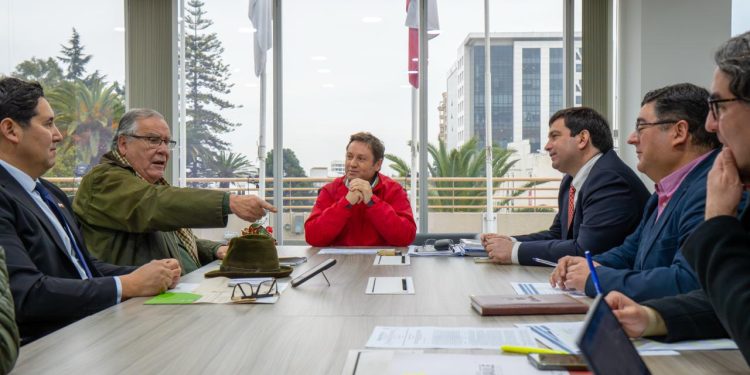 Gobierno Regional y Ministerio de Agricultura coordinan acciones para apoyar a agricultores afectados por el sistema frontal en el Maule