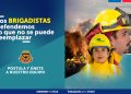 CONAF abre postulaciones para labores de combate de incendios forestales 2026-2027