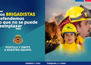 CONAF abre postulaciones para labores de combate de incendios forestales 2026-2027
