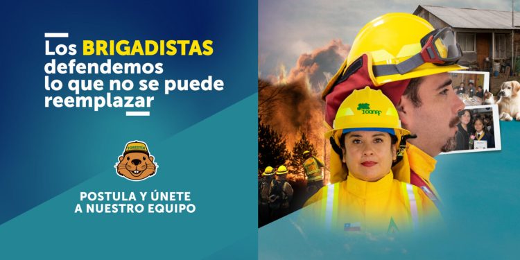 CONAF abre postulaciones para labores de combate de incendios forestales 2026-2027