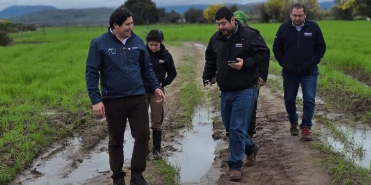 Seremi de Agricultura Maule detalla afectaciones por sistemas frontales concentradas en pequeños agricultores