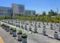 Mirar el suelo para hacer frente al cambio climático:   Innovación biotecnológica resguarda la agricultura nacional