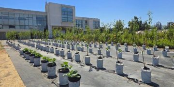Mirar el suelo para hacer frente al cambio climático:   Innovación biotecnológica resguarda la agricultura nacional