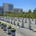 Mirar el suelo para hacer frente al cambio climático:   Innovación biotecnológica resguarda la agricultura nacional