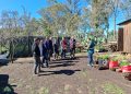 CONAF Maule, INDAP e INIA fortalecen el trabajo conjunto en apoyo a la apicultura local