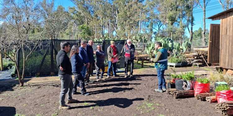 CONAF Maule, INDAP e INIA fortalecen el trabajo conjunto en apoyo a la apicultura local