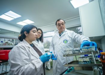 Investigadores buscan desarrollar árboles que se adapten al cambio climático