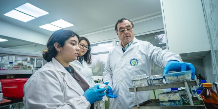 Investigadores buscan desarrollar árboles que se adapten al cambio climático