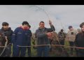 Estudiantes de Agropecuaria aprenden poda de Viñedos Patrimoniales