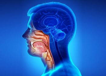Cáncer de cabeza y cuello: Especialista llama a consultar ante síntomas que persistan más de 2 semanas