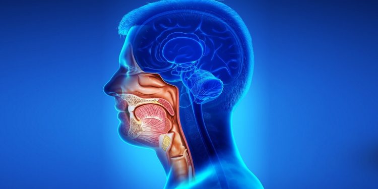 Cáncer de cabeza y cuello: Especialista llama a consultar ante síntomas que persistan más de 2 semanas