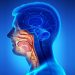 Cáncer de cabeza y cuello: Especialista llama a consultar ante síntomas que persistan más de 2 semanas