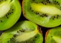 Cherry & Kiwi Conference 2026: conocimiento, innovación y nuevas decisiones para el futuro de la fruticultura