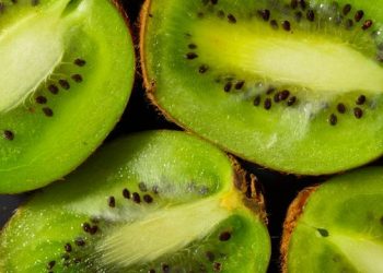 Cherry & Kiwi Conference 2026: conocimiento, innovación y nuevas decisiones para el futuro de la fruticultura