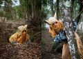Kori y la semilla dorada: obra interactiva gratuita para toda la familia se estrena en el Maule