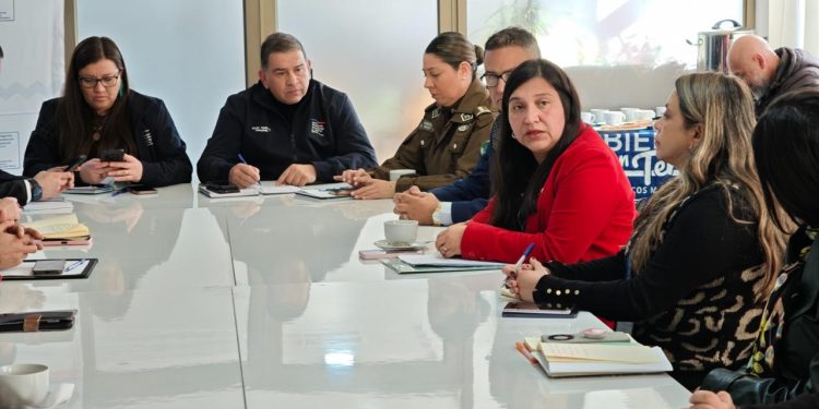 Delegación Presidencial Provincial de Curicó encabezó Comité Técnico Asesor