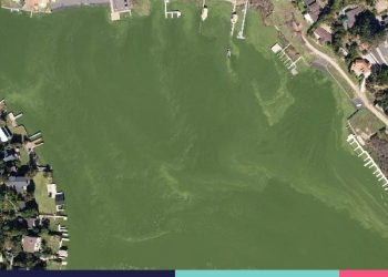 Contraloría ordena reforzar protección del Lago Vichuquén ante su deterioro ambiental “permanente”