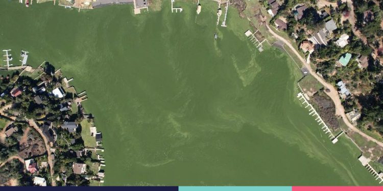 Contraloría ordena reforzar protección del Lago Vichuquén ante su deterioro ambiental “permanente”