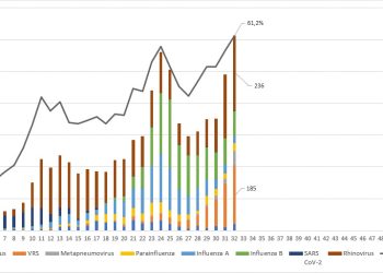 Virus respiratorios alcanzan su mayor circulación de 2026 en el Maule: positividad llega al 61%