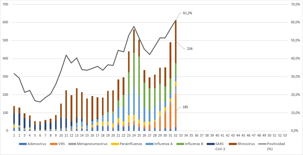 Virus respiratorios alcanzan su mayor circulación de 2026 en el Maule: positividad llega al 61%