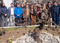 Parras de casi 200 años vuelven a echar raíces en el corazón del Maule