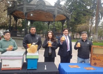 Este miércoles se realizará la 11° versión de l Feria Apícola del Maule