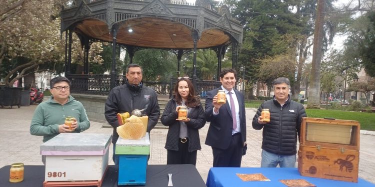 Este miércoles se realizará la 11° versión de l Feria Apícola del Maule