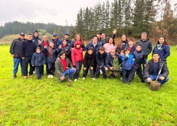 Curepto realiza importante jornada de reforestación nativa junto al Seremi de Medio Ambiente