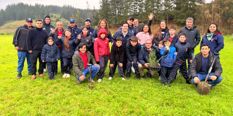 Curepto realiza importante jornada de reforestación nativa junto al Seremi de Medio Ambiente