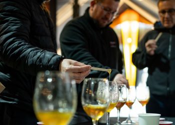Miel de Licantén fue la preferida del público en cata popular de la Feria Apícola del Maule