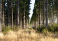 Investigación aporta para enfrentar la degradación de ecosistemas y los efectos de la sequía