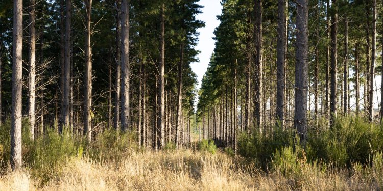 Investigación aporta para enfrentar la degradación de ecosistemas y los efectos de la sequía
