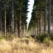 Investigación aporta para enfrentar la degradación de ecosistemas y los efectos de la sequía