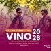 Día Nacional del Vino: más de 50 experiencias y panoramas invitan a recorrer Chile y descubrir todo lo que existe detrás de una co
