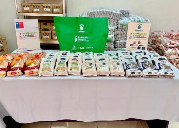 EcoMercado Solidario de Linares distribuirá más de dos toneladas de alimentos donados por Tucapel