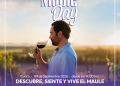 Reiteran llamado a prestadores de servicios turísticos a postular a Maule Day