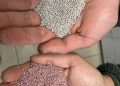Peletizado: un abrigo de bacterias nativas para convertir el secano en una tierra fértil