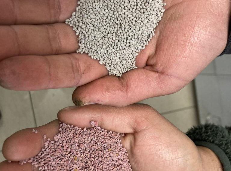 Peletizado: un abrigo de bacterias nativas para convertir el secano en una tierra fértil