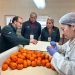 Con récord de cajas inspeccionadas cierra temporada 2025-2026 de Sitio Teno SAG/USDA