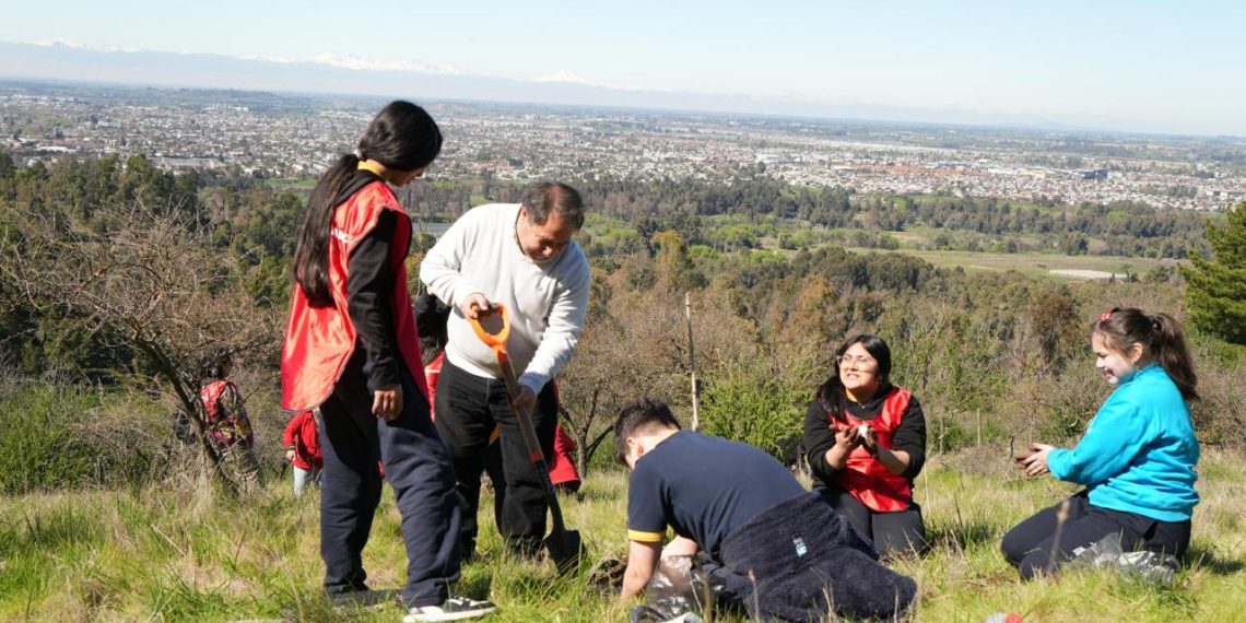Municipalidad de Talca inicia nueva etapa de reforestación del Bosque Municipal con activa participación de la comunidad