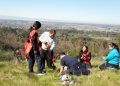 Municipalidad de Talca inicia nueva etapa de reforestación del Bosque Municipal con activa participación de la comunidad