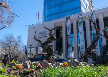 Gobernador invita a participar de la Expo “Brindemos por el Maule” en la Plaza de Armas de Talca