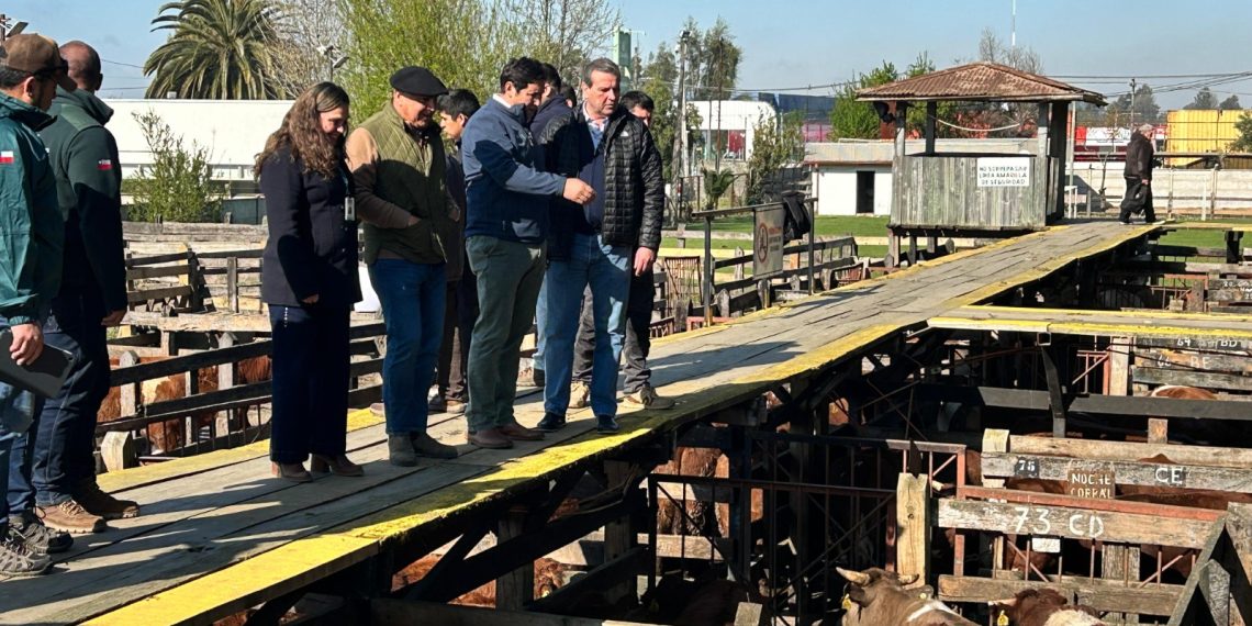 Autoridades acompañan fiscalización en feria ganadera de Talca