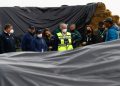 Autoridades concretan cierre de empresa por uso de guano húmedo que generaba malos olores en Curicó