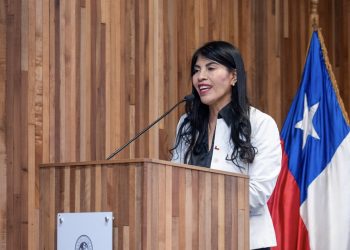 Ministerio CTCI abre convocatoria a Concurso de Fomento a la Vinculación Internacional al que podrán postular Institutos Profesionales y Centros de Formación Técnica  