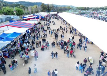 Municipalidad de Talca anuncia Fiesta de la Chilenidad con entrada gratuita y más de 100 expositores en Parque Río Claro