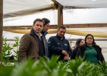 $3.700 millones permitirán a 432 agricultores del Maule regar con energía solar y reducir sus costos